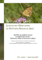 2023 Identification des papillons de jour et zygènes de France : Fabriciana niobe et F. adippe